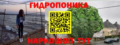 прущие грибы Ливны