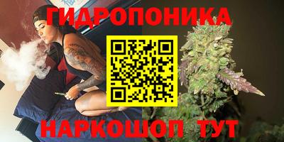 прущие грибы Ливны